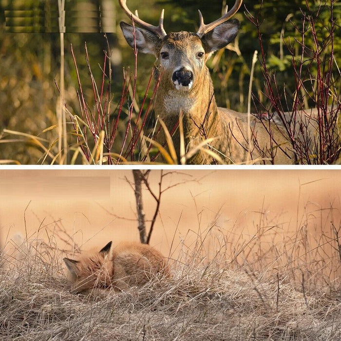 Premium Trail Game Camera Deer Hunting Cam Security