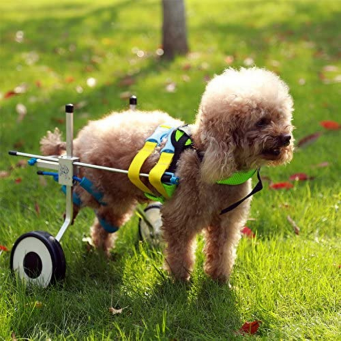 Dog Mobility Back Legs Wheelchair