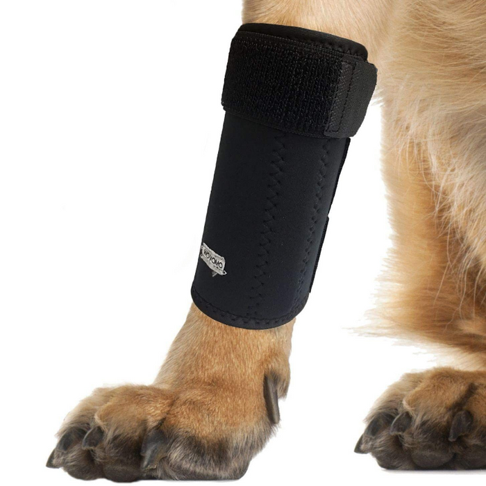 Stabilizing Dog Front Legs Knee Brace Set