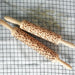 Decorative Holiday Embossed Christmas Rolling Pin | Zincera