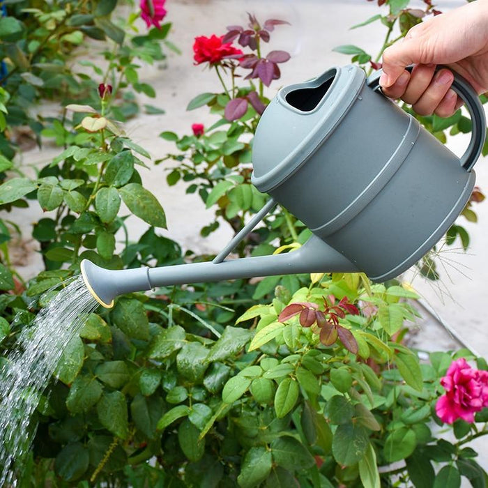 Small Garden Watering Pitcher Bucket Can