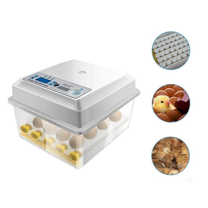 Automatic Small Egg Hatcher Machine 16 Eggs Digital Mini Incubators