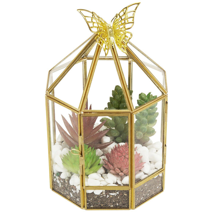 Glass Plant Terrarium Hexagon Birdcage Design with Brass Tone