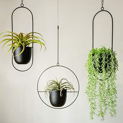 Hanging Flower Basket for Indoor/Outdoor