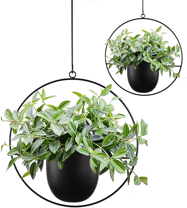 Hanging Flower Basket for Indoor/Outdoor