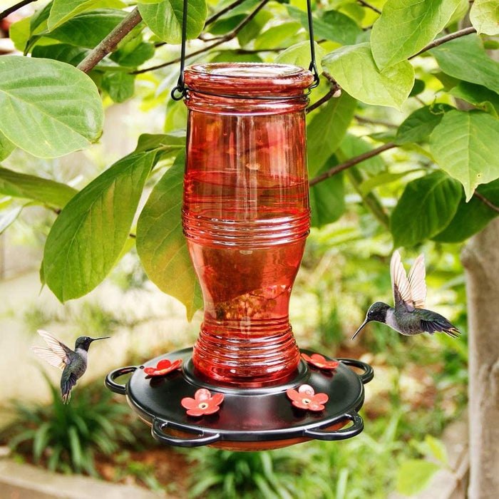 Modern Top Fill Glass Hummingbird Feeders Garden Tree Yard
