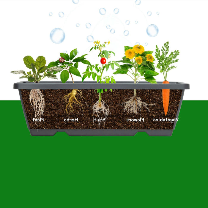 Outdoor Vertical Raised Garden Vegetable Planter Box