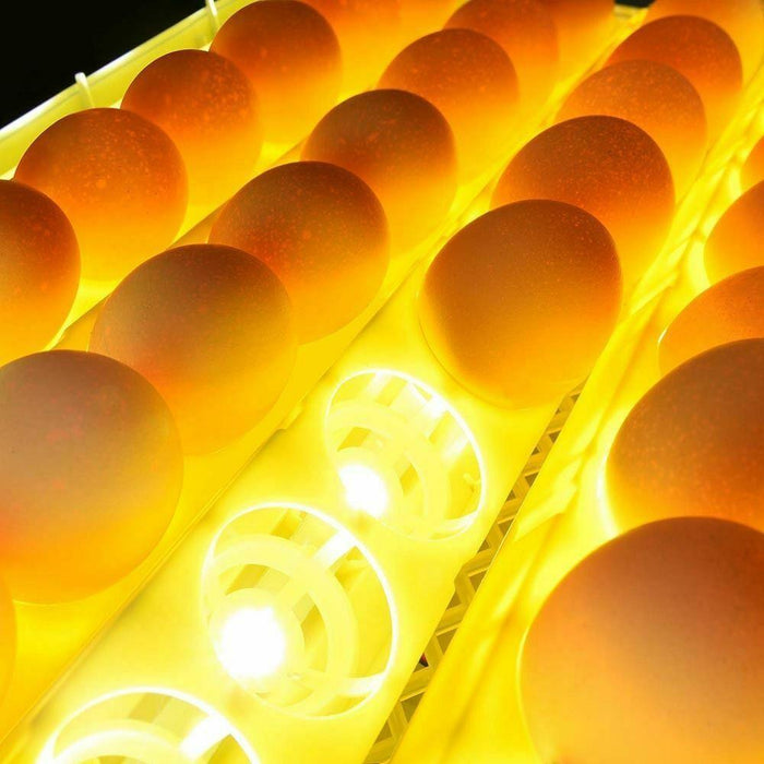 Automatic Egg Incubator Automatic Chicken Quail Egg Hatcher