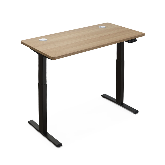 Premium Electric Standing Desk Modern Adjustable Home Office Desk