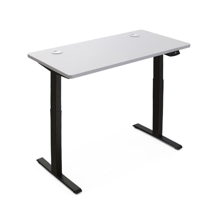 Premium Electric Standing Desk Modern Adjustable Home Office Desk