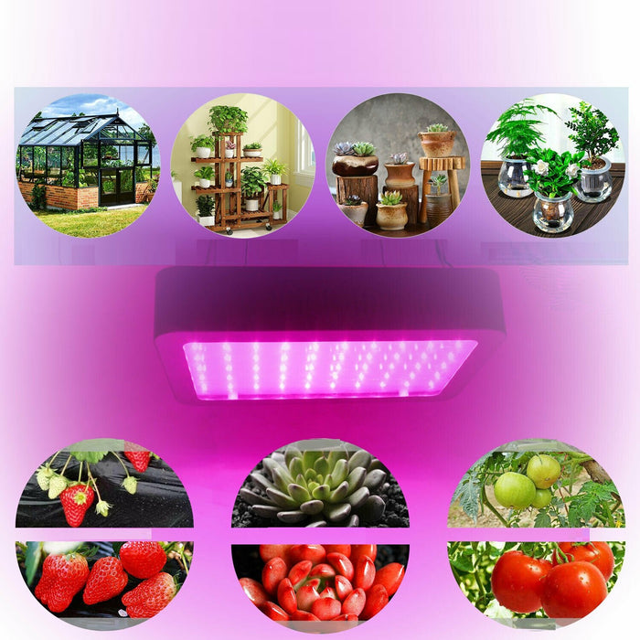 Premium Hydroponic LED Grow Light Growing Lamp for Indoor Plant