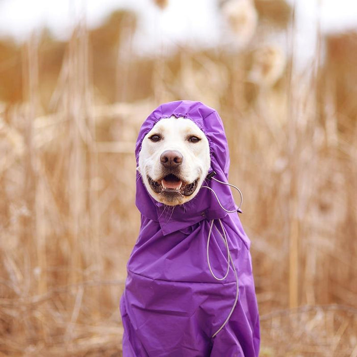 Premium Dog Raincoat Jacket