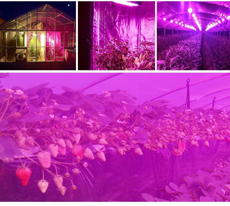 Plant LED Grow Lights Full Spectrum Indoor