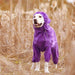 Premium Dog Raincoat Jacket | Zincera
