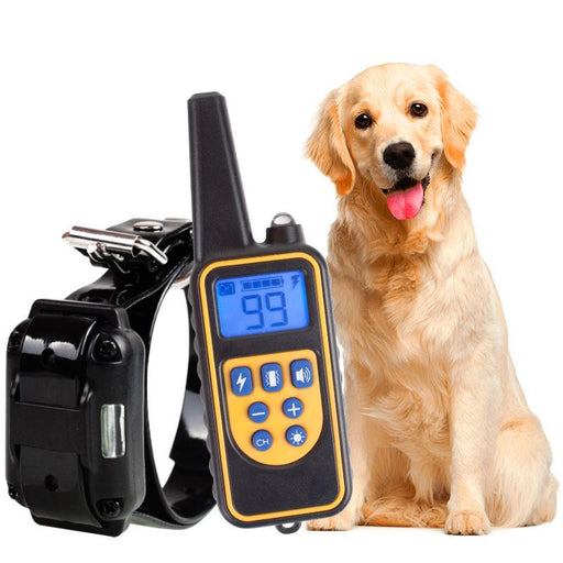 Electric Dog Training Shock Collar With Remote | Zincera