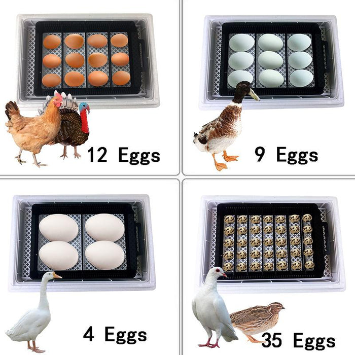 35 Premium Automatic Chicken Egg Incubator