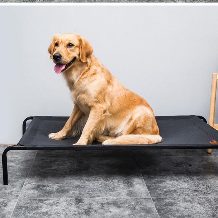 Soft Elevated Dog Cot Bed