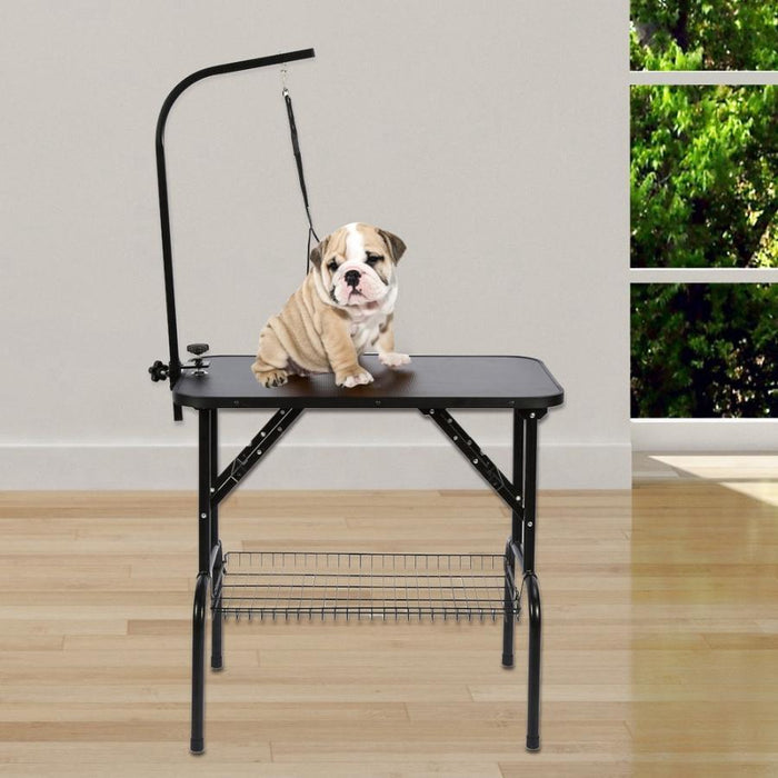 Large Adjustable Pet Grooming Table With Arm