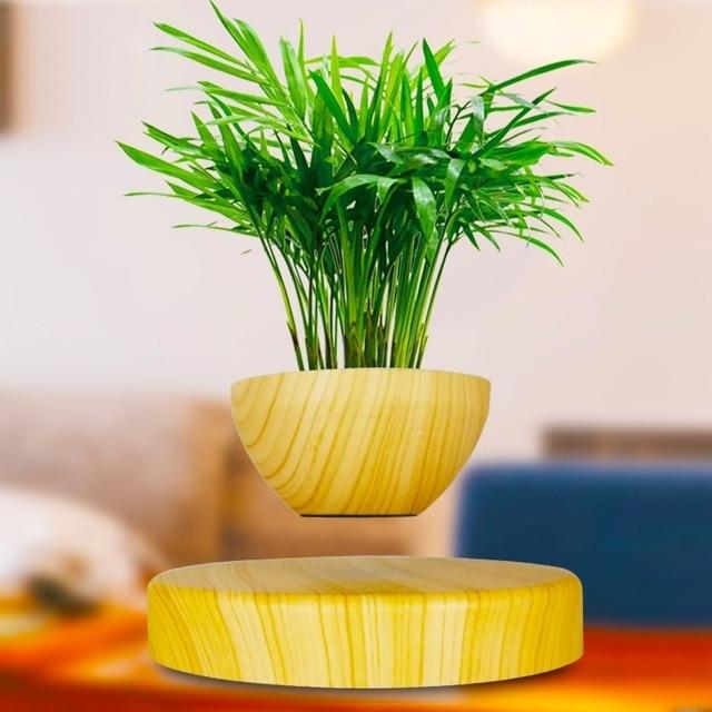 Levitating Magnetic Bonsai Tree Planter Pot | Zincera